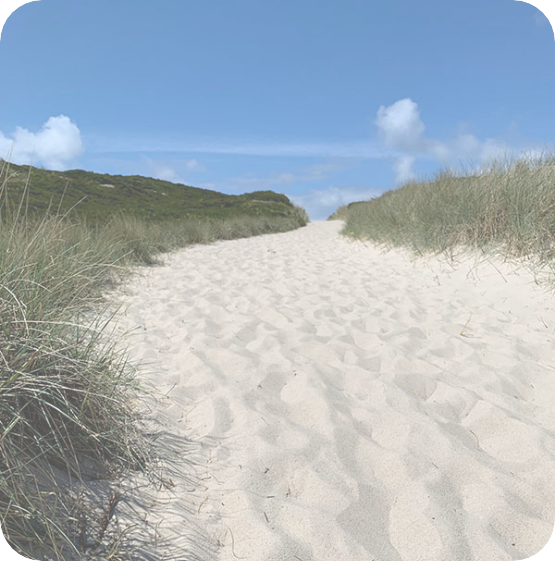 Der Weg führt zum Ziel